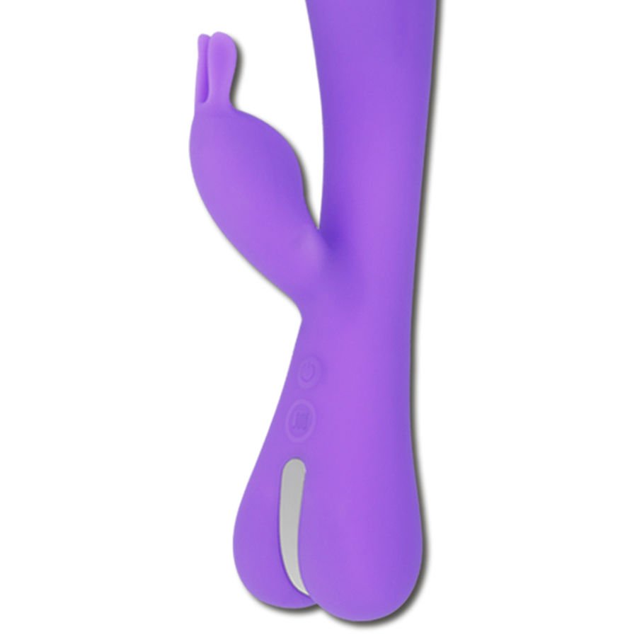 Coniglio Lilla Maestà