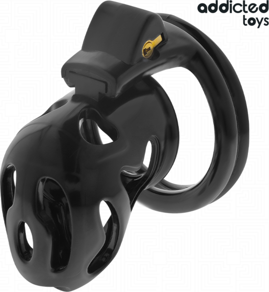 Gabbia di castità Addicted Toys Locked 8 cm con i suoi quattro anelli e le sue chiavi