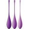 Set di Kegel FANTASY FOR HER | Allenamento con pesi