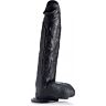 Rinoceronte infuriato - pene venoso di 33,02 cm - nero