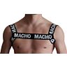 Arnesi Macho Underwear Macho - Talla unica e versatilità