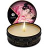 Candele da Massaggio Shunga Mini Caress | Set 24 Unitá