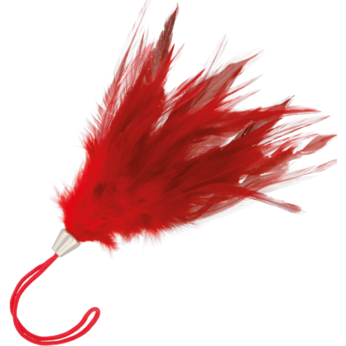 Pluma stimolatrice DARKNESS 17CM per il piacere