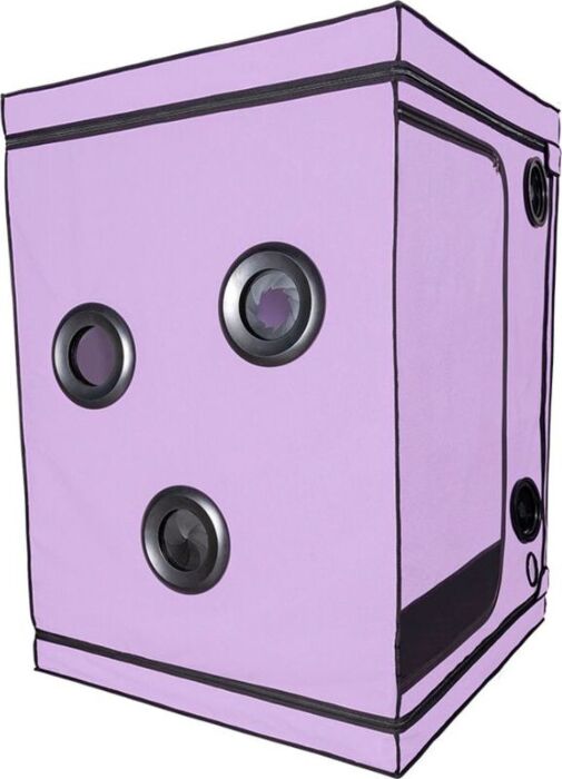 Cabina BDSM Secret Dome Scandale Morado - Placer Total