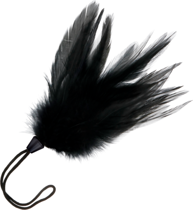 Pluma Stimolante DARKNESS 17 cm per Giochi Eroti