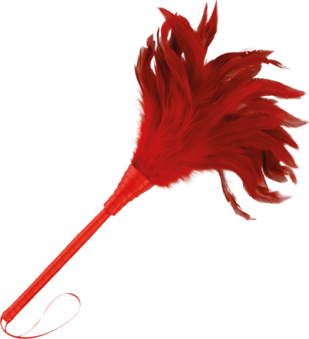 Pluma Stimolante Darkness 24 cm per Gioco Erotico