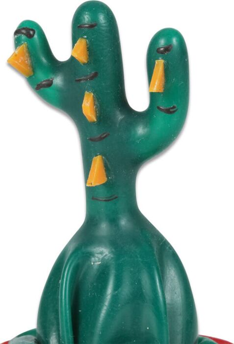 Preservativo Decorativo Condomerie Cactus