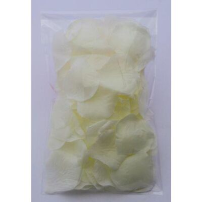 Fiore Sensuale Bianco